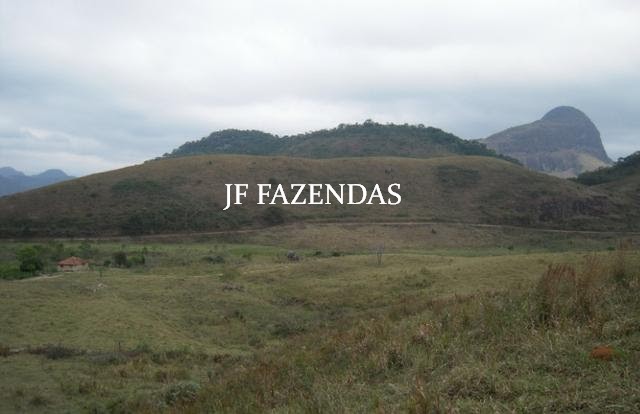 Fazenda em Juiz de Fora-MG – 194 hectares Fazenda em Juiz de Fora-MG – 194 hectares