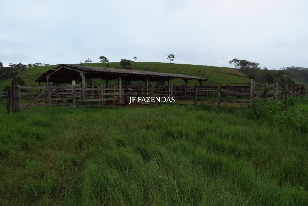 Fazenda em Leopoldina – MG – 145,20 hectares Fazenda em Leopoldina – MG – 145,20 hectares