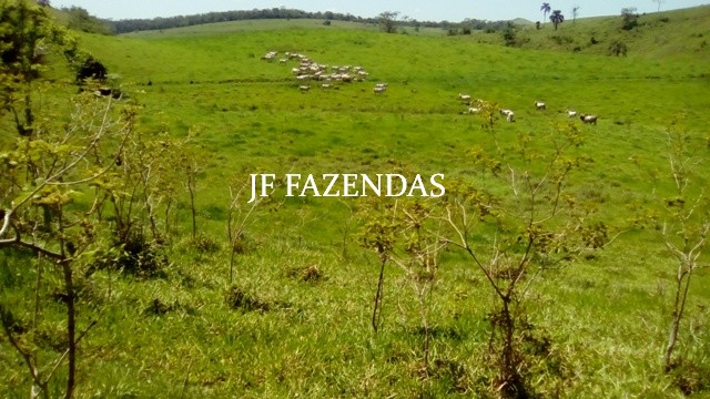 Fazenda em Estrela Dalva – MG – 1321,32 hectares Fazenda em Estrela Dalva – MG – 1321,32 hectares