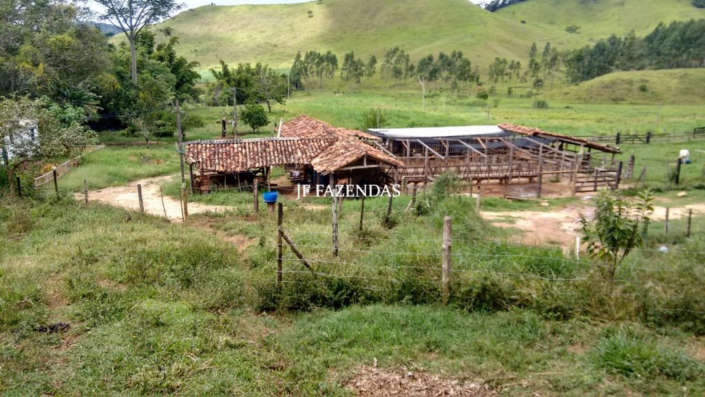 Fazenda em Belmiro Braga-MG – 177 hectares Fazenda em Belmiro Braga-MG – 177 hectares