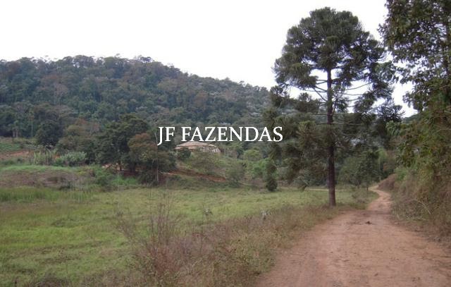 Fazenda em Juiz de Fora-MG – 194 hectares Fazenda em Juiz de Fora-MG – 194 hectares