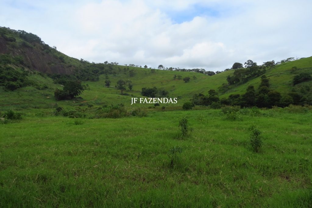 Fazenda em Leopoldina – MG – 145,20 hectares Fazenda em Leopoldina – MG – 145,20 hectares