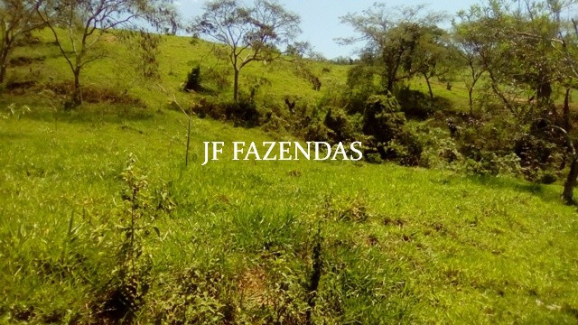 Fazenda em Estrela Dalva – MG – 1321,32 hectares Fazenda em Estrela Dalva – MG – 1321,32 hectares