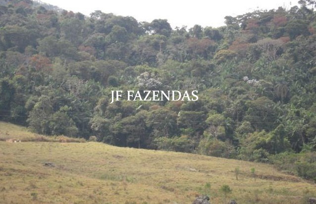 Fazenda em Juiz de Fora-MG – 194 hectares Fazenda em Juiz de Fora-MG – 194 hectares