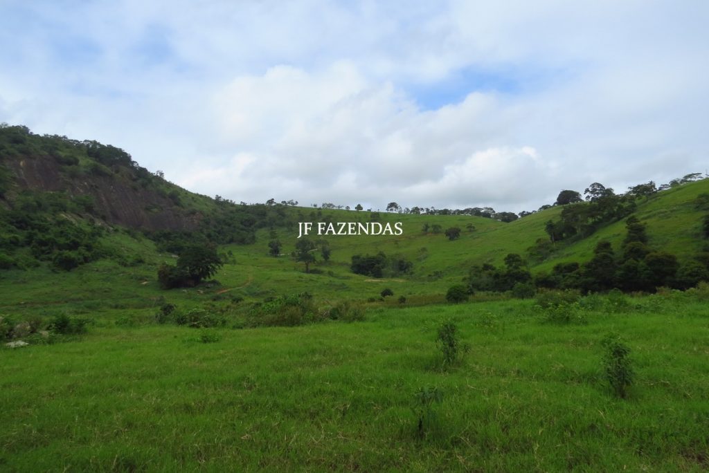 Fazenda em Leopoldina – MG – 145,20 hectares Fazenda em Leopoldina – MG – 145,20 hectares