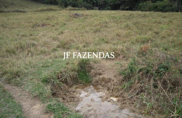Fazenda em Juiz de Fora-MG – 194 hectares Fazenda em Juiz de Fora-MG – 194 hectares