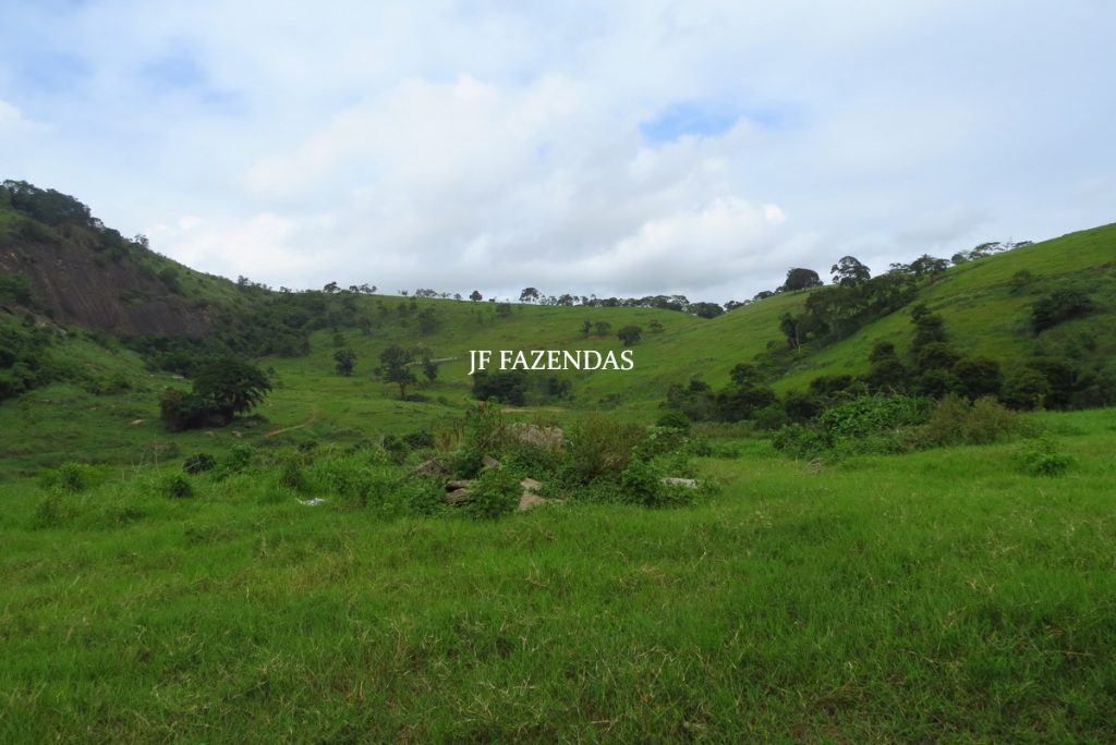 Fazenda em Leopoldina – MG – 145,20 hectares Fazenda em Leopoldina – MG – 145,20 hectares