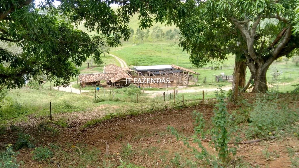 Fazenda em Belmiro Braga-MG – 177 hectares Fazenda em Belmiro Braga-MG – 177 hectares