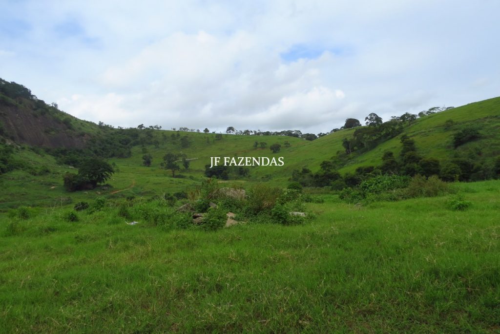 Fazenda em Leopoldina – MG – 145,20 hectares Fazenda em Leopoldina – MG – 145,20 hectares