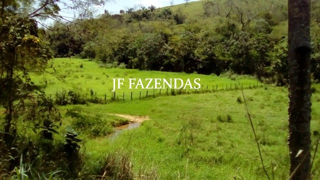 Fazenda em Estrela Dalva – MG – 1321,32 hectares Fazenda em Estrela Dalva – MG – 1321,32 hectares