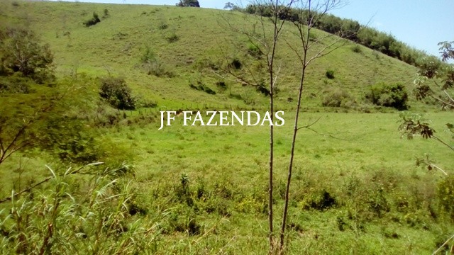 Fazenda em Estrela Dalva – MG – 1321,32 hectares Fazenda em Estrela Dalva – MG – 1321,32 hectares