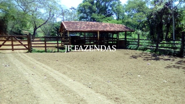 Fazenda em Estrela Dalva – MG – 1321,32 hectares Fazenda em Estrela Dalva – MG – 1321,32 hectares