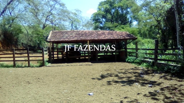 Fazenda em Estrela Dalva – MG – 1321,32 hectares Fazenda em Estrela Dalva – MG – 1321,32 hectares