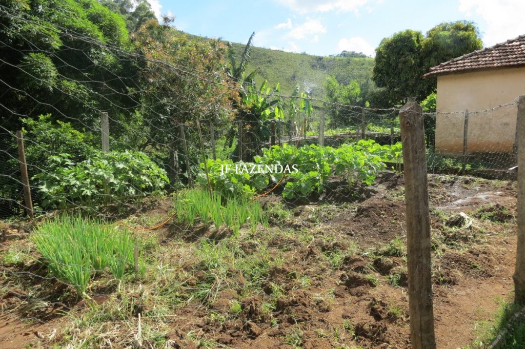 Fazenda em Lima Duarte-MG – 250 hectares