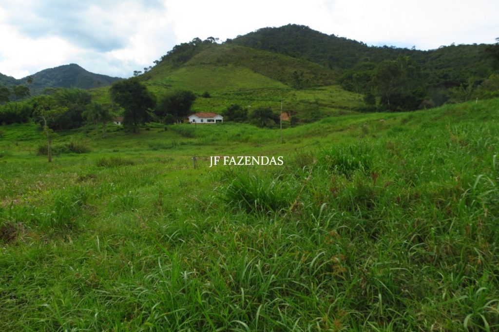 Fazenda em Belmiro Braga-MG – 177 hectares Fazenda em Belmiro Braga-MG – 177 hectares