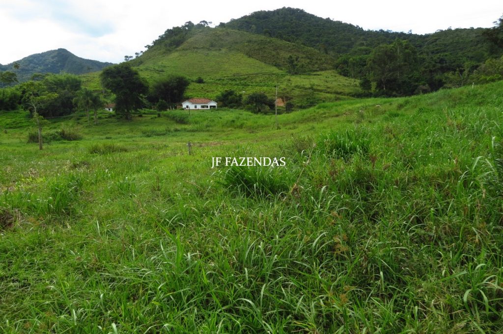 Fazenda em Belmiro Braga-MG – 177 hectares Fazenda em Belmiro Braga-MG – 177 hectares