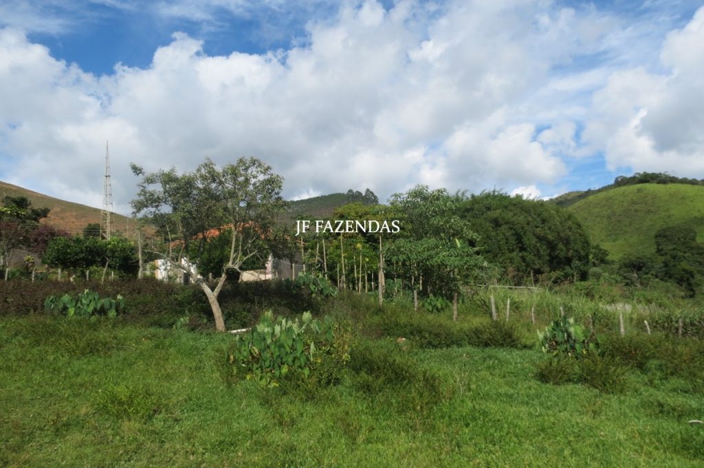 Fazenda em Lima Duarte-MG – 250 hectares