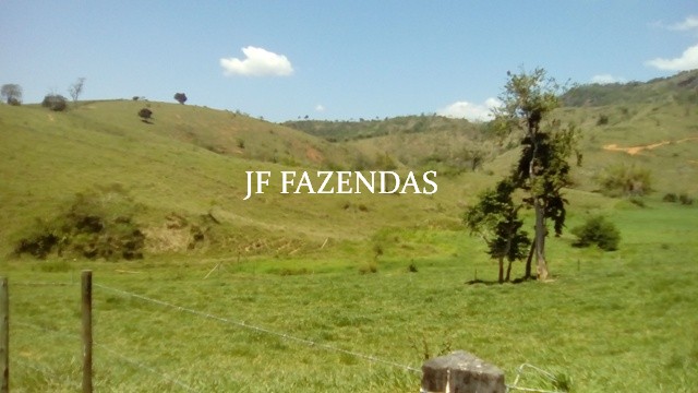 Fazenda em Estrela Dalva – MG – 1321,32 hectares Fazenda em Estrela Dalva – MG – 1321,32 hectares