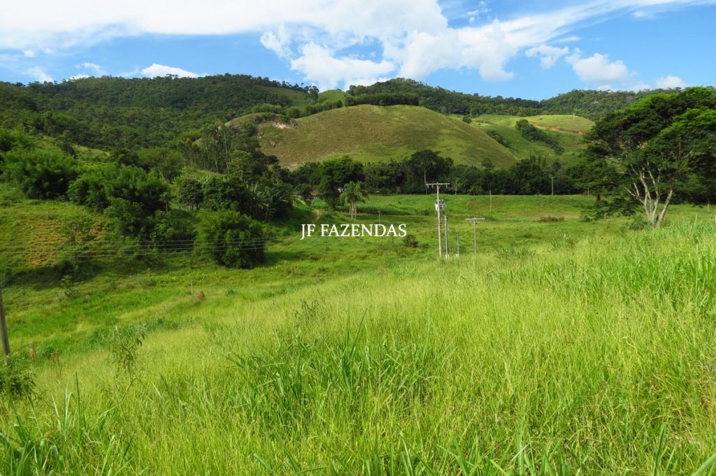 Fazenda em Belmiro Braga-MG – 177 hectares Fazenda em Belmiro Braga-MG – 177 hectares
