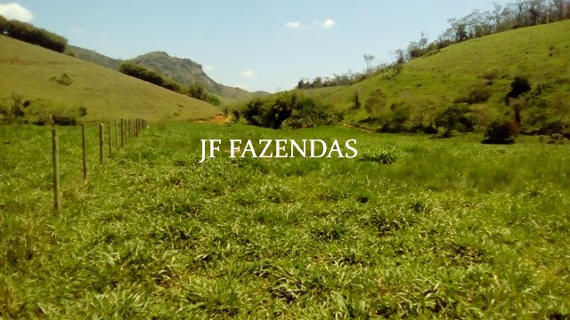 Fazenda em Estrela Dalva – MG – 1321,32 hectares Fazenda em Estrela Dalva – MG – 1321,32 hectares