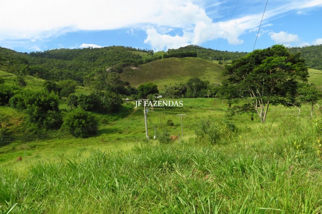 Fazenda em Belmiro Braga-MG – 177 hectares Fazenda em Belmiro Braga-MG – 177 hectares