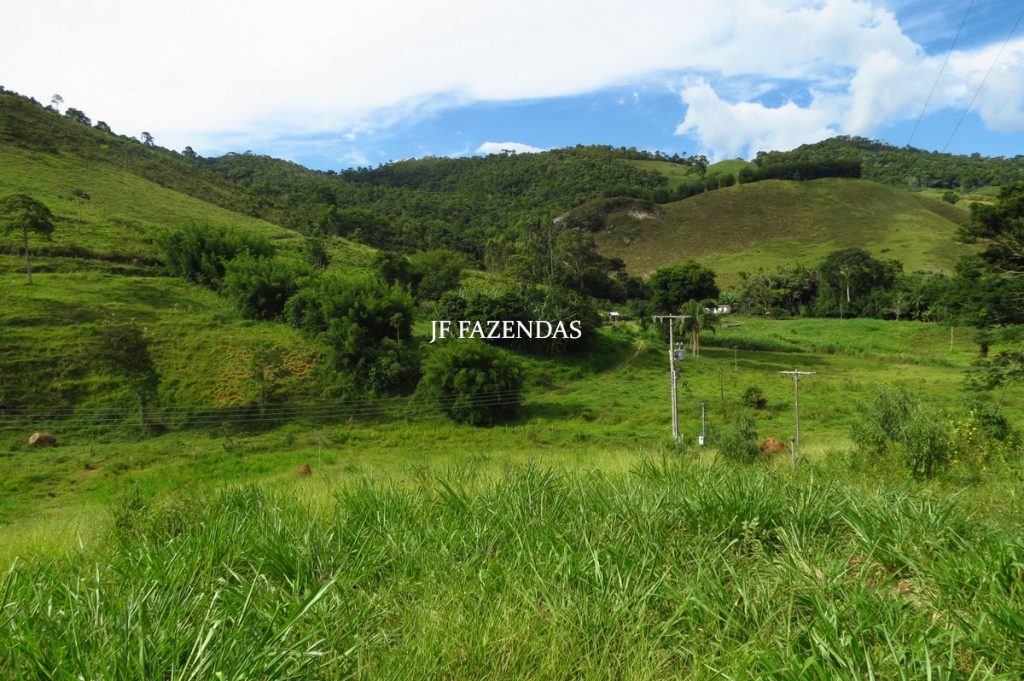 Fazenda em Belmiro Braga-MG – 177 hectares Fazenda em Belmiro Braga-MG – 177 hectares
