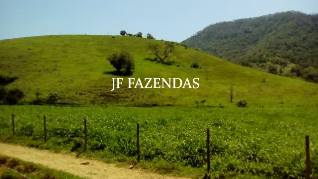 Fazenda em Estrela Dalva – MG – 1321,32 hectares Fazenda em Estrela Dalva – MG – 1321,32 hectares