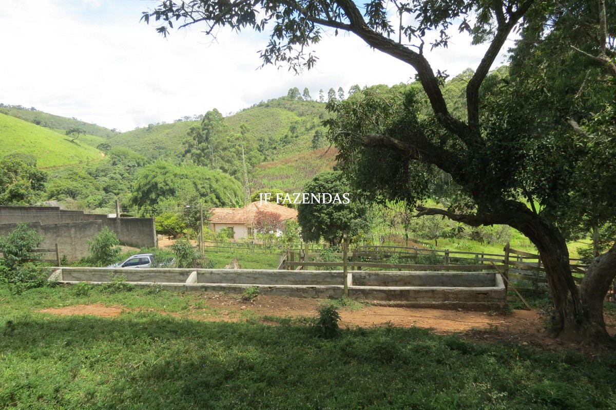 Numa Fazenda O Galpao Fica 50M Distante