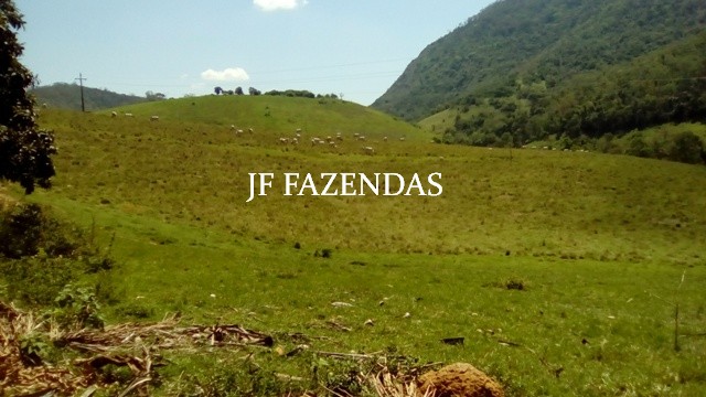 Fazenda em Estrela Dalva – MG – 1321,32 hectares Fazenda em Estrela Dalva – MG – 1321,32 hectares