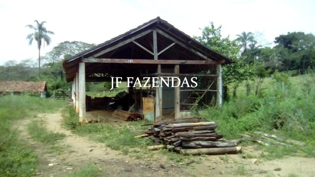 Fazenda em Estrela Dalva – MG – 1321,32 hectares Fazenda em Estrela Dalva – MG – 1321,32 hectares