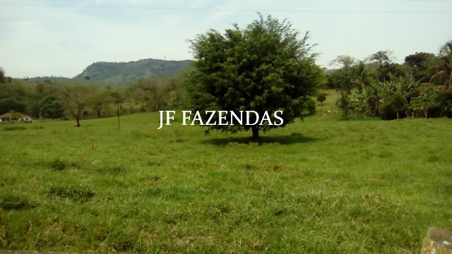 Fazenda em Estrela Dalva – MG – 1321,32 hectares Fazenda em Estrela Dalva – MG – 1321,32 hectares