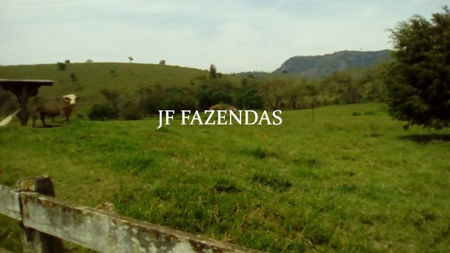 Fazenda em Estrela Dalva – MG – 1321,32 hectares Fazenda em Estrela Dalva – MG – 1321,32 hectares