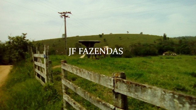 Fazenda em Estrela Dalva – MG – 1321,32 hectares Fazenda em Estrela Dalva – MG – 1321,32 hectares