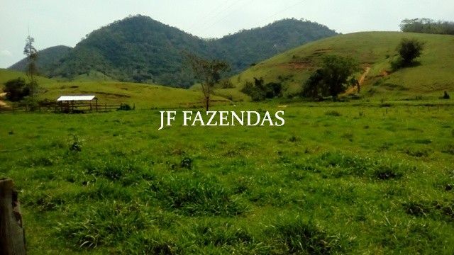 Fazenda em Estrela Dalva – MG – 1321,32 hectares Fazenda em Estrela Dalva – MG – 1321,32 hectares