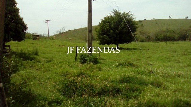 Fazenda em Estrela Dalva – MG – 1321,32 hectares Fazenda em Estrela Dalva – MG – 1321,32 hectares