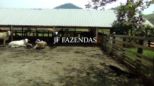 Fazenda em Estrela Dalva – MG – 1321,32 hectares Fazenda em Estrela Dalva – MG – 1321,32 hectares
