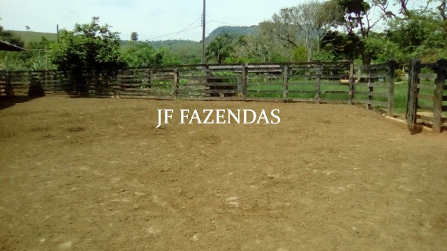 Fazenda em Estrela Dalva – MG – 1321,32 hectares Fazenda em Estrela Dalva – MG – 1321,32 hectares