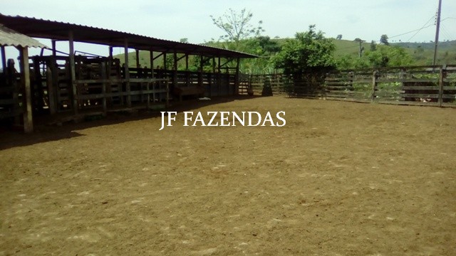 Fazenda em Estrela Dalva – MG – 1321,32 hectares Fazenda em Estrela Dalva – MG – 1321,32 hectares
