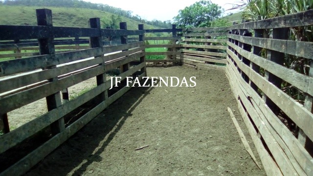Fazenda em Estrela Dalva – MG – 1321,32 hectares Fazenda em Estrela Dalva – MG – 1321,32 hectares