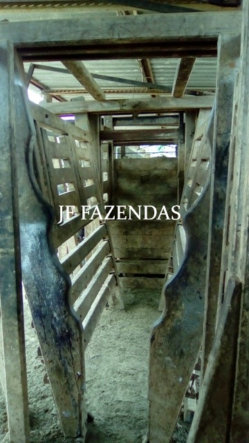 Fazenda em Estrela Dalva – MG – 1321,32 hectares Fazenda em Estrela Dalva – MG – 1321,32 hectares