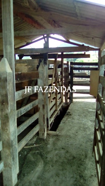 Fazenda em Estrela Dalva – MG – 1321,32 hectares Fazenda em Estrela Dalva – MG – 1321,32 hectares
