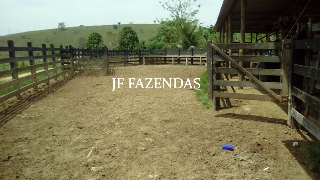 Fazenda em Estrela Dalva – MG – 1321,32 hectares Fazenda em Estrela Dalva – MG – 1321,32 hectares