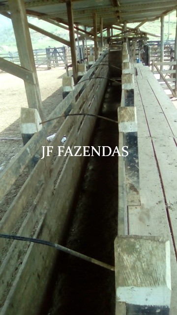 Fazenda em Estrela Dalva – MG – 1321,32 hectares Fazenda em Estrela Dalva – MG – 1321,32 hectares