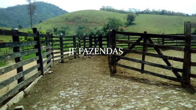 Fazenda em Estrela Dalva – MG – 1321,32 hectares Fazenda em Estrela Dalva – MG – 1321,32 hectares