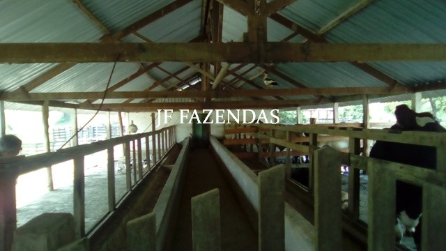 Fazenda em Estrela Dalva – MG – 1321,32 hectares Fazenda em Estrela Dalva – MG – 1321,32 hectares