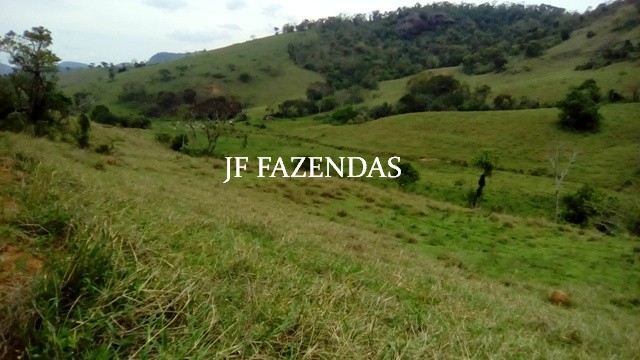 Fazenda em Estrela Dalva – MG – 1321,32 hectares Fazenda em Estrela Dalva – MG – 1321,32 hectares