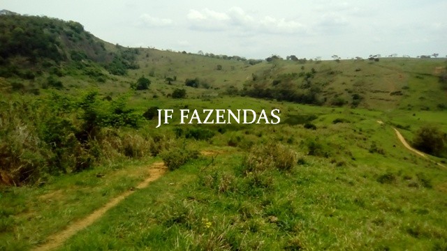 Fazenda em Estrela Dalva – MG – 1321,32 hectares Fazenda em Estrela Dalva – MG – 1321,32 hectares