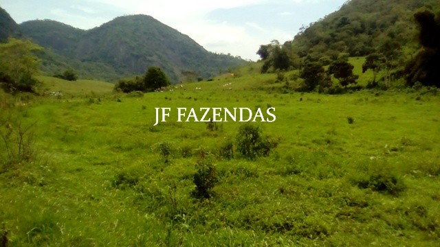 Fazenda em Estrela Dalva – MG – 1321,32 hectares Fazenda em Estrela Dalva – MG – 1321,32 hectares