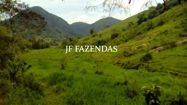Fazenda em Estrela Dalva – MG – 1321,32 hectares Fazenda em Estrela Dalva – MG – 1321,32 hectares