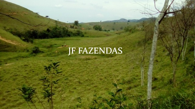 Fazenda em Estrela Dalva – MG – 1321,32 hectares Fazenda em Estrela Dalva – MG – 1321,32 hectares